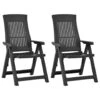 VidaXL Tuinstoelen 2 St Verstelbaar Kunststof Antracietkleurig 2 VidaXL Tuinstoelen 2 St Verstelbaar Kunststof Antracietkleurig -Tuinmeubels Winkel 1000006375