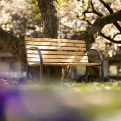 Tectake - Tuinbank - 123x 64x 82 Cm - Hout 8 Tectake - Tuinbank - 123x 64x 82 Cm - Hout -Tuinmeubels Winkel 1000078026 0102