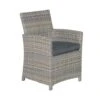 Garden Impressions Alaska Lounge Dining Tuinstoel -vintage Willow -Tuinmeubels Winkel 1000079425