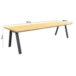 Taste Ambassador Tuintafel - 300x100 Cm 7 Taste Ambassador Tuintafel - 300x100 Cm -Tuinmeubels Winkel 1000084624 0101
