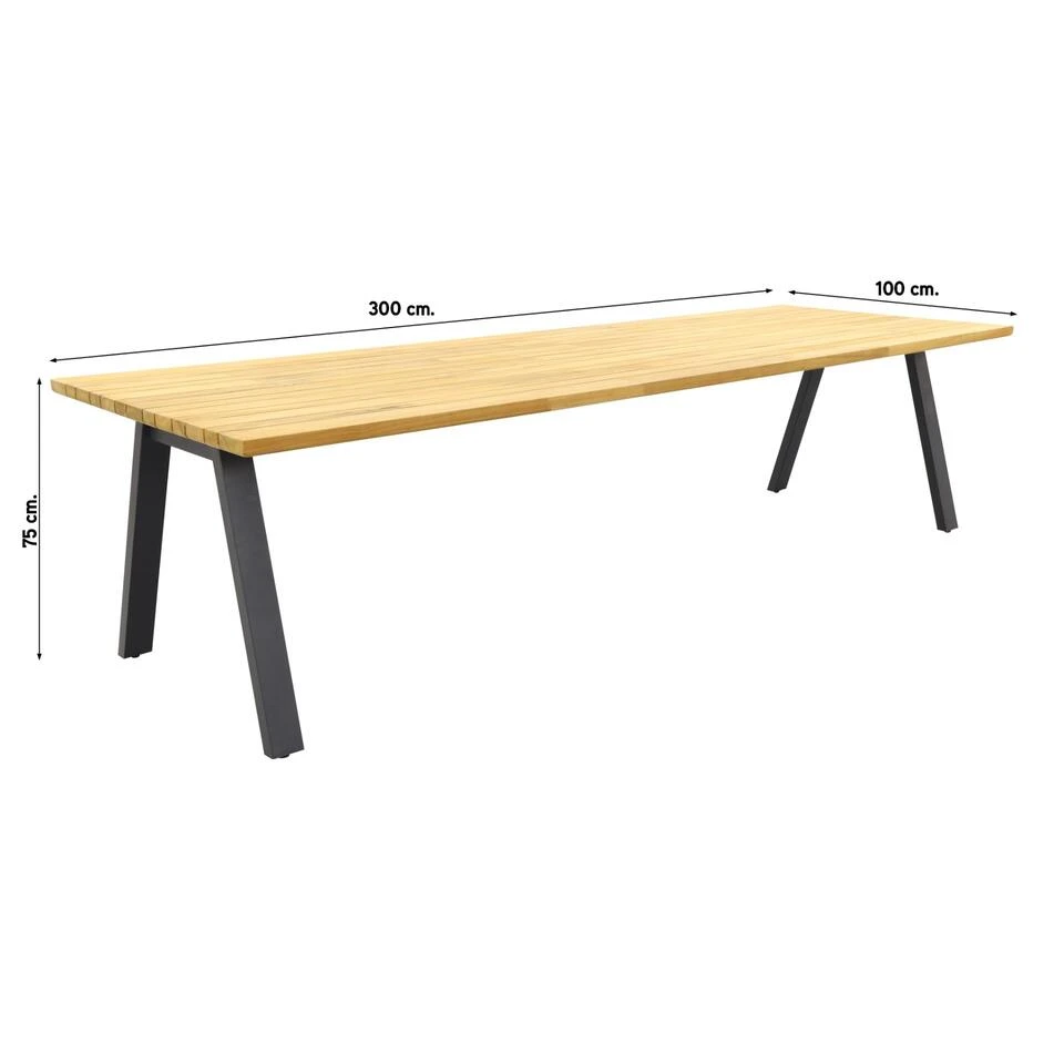 Taste Ambassador Tuintafel - 300x100 Cm 4 Taste Ambassador Tuintafel - 300x100 Cm - Afbeelding 2