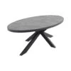 VDG Silva Ovale Tuintafel - 240 X 115 Cm 2 VDG Silva Ovale Tuintafel - 240 X 115 Cm -Tuinmeubels Winkel 1000092299