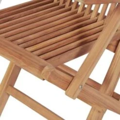 VidaXL Tuinstoelen Inklapbaar 2 St Massief Teakhout -Tuinmeubels Winkel 1381912756 0103