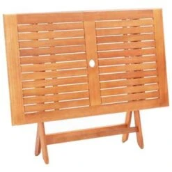 VidaXL Tuintafel Inklapbaar 120x70x75 Cm Massief Eucalyptushout -Tuinmeubels Winkel 6875f29f7ab34a728a23a3a4b9810da9
