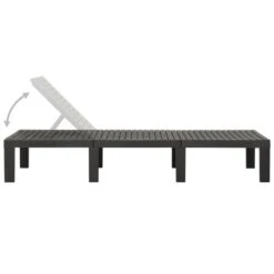 VidaXL Ligbed Kunststof Antracietkleurig -Tuinmeubels Winkel 95b7675ff3b64157a380085e8a97db33