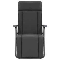 VidaXL Tuinstoelen Met Kussen Inklapbaar 2 St Grijs -Tuinmeubels Winkel d7b8ff4d2de8420b8d5a74b7b8ff802c